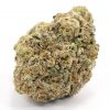 Lambs Breath Flower