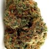 Harry Potter Haze Flower