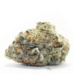 LA Grape Flower