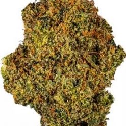 Pot of Gold Flower