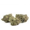 Gator Breath AAA