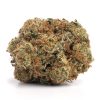 Mimosa Bulk Flower