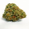 Sunset Sherbert Flower