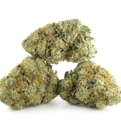 Bruce Banner AAAA