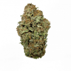 Jet Fuel Flower