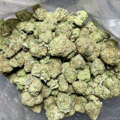 Kootenay Gardens Lindsay OG