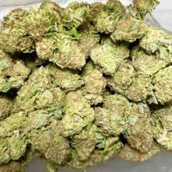 Cali Gold Flower
