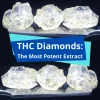 Pink Diamonds Infused Preroll