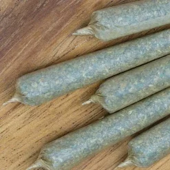 Mike Tyson Preroll