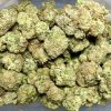 Tangerine Dream Flower