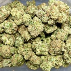 Tangerine Dream Flower