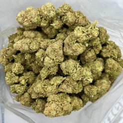 Gelato