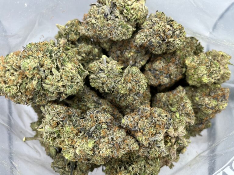 Pink-Blueberry2.jpeg