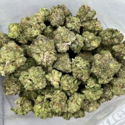 Purple Rockstar