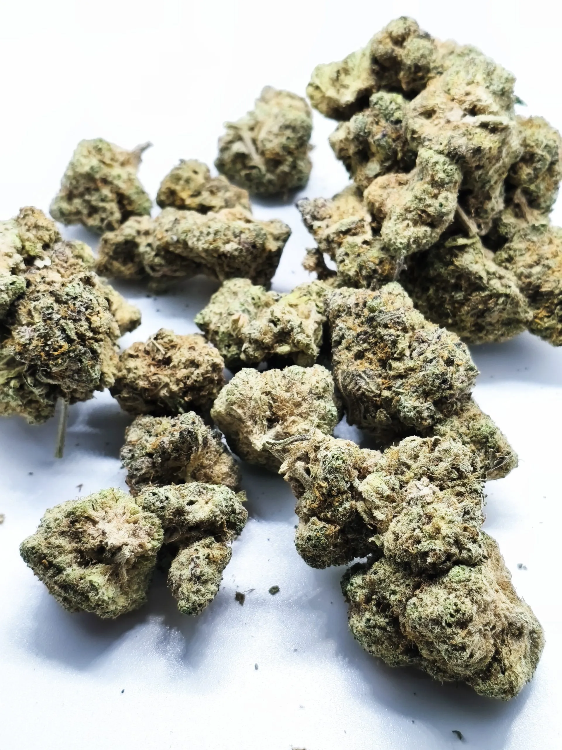 IMG_20251215_133738-scaled-1.webp Sour Diesel Flower