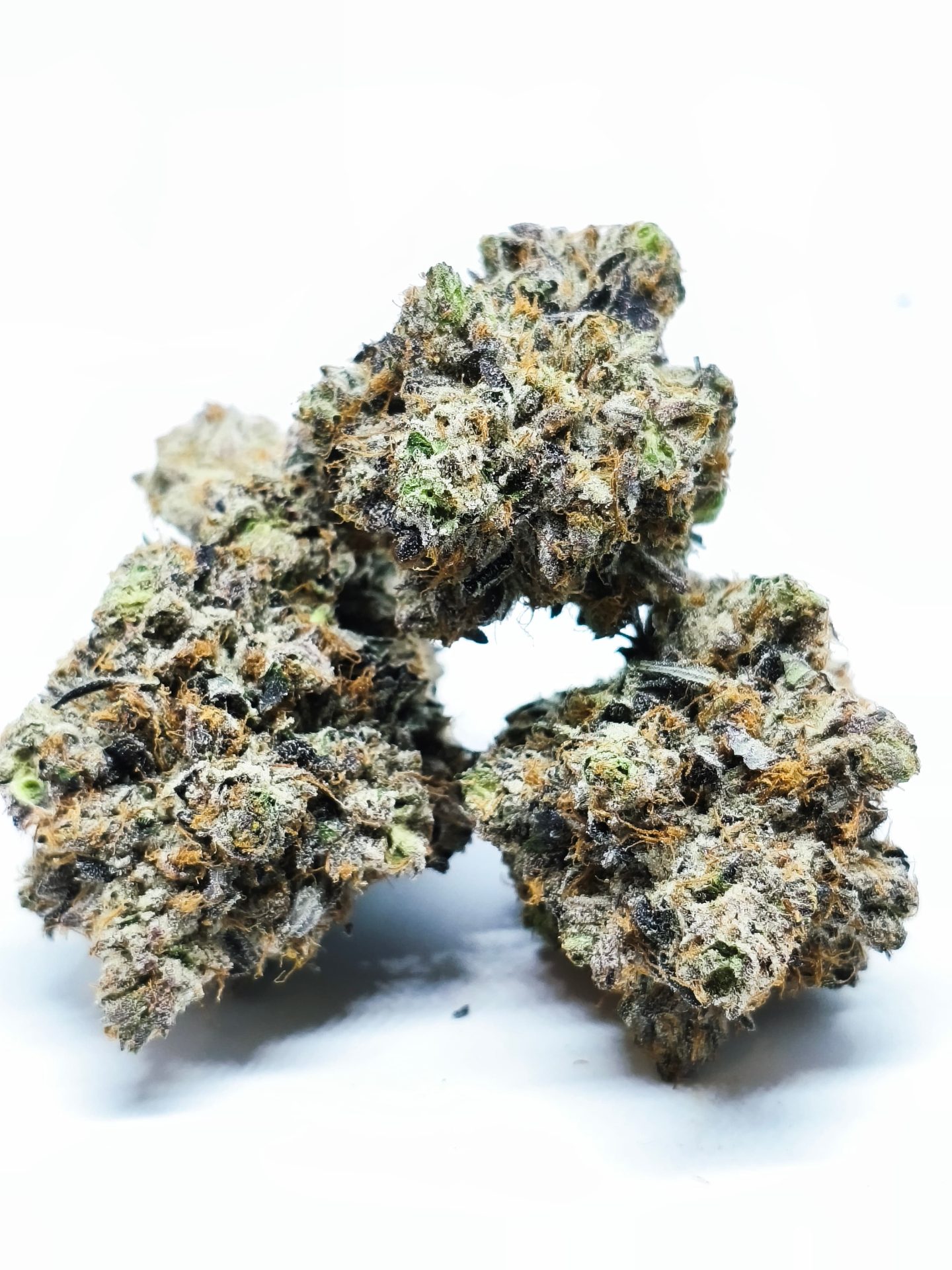 IMG_20261019_001529-scaled-1.jpg El Chapo OG (AAAA)