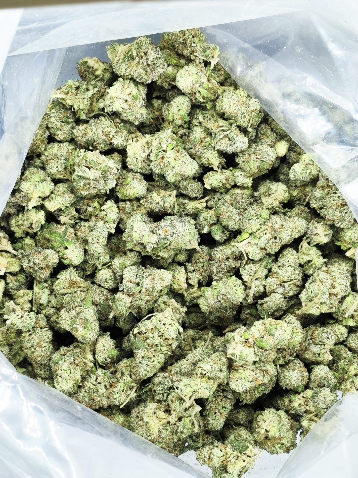 Pine-Tar-Kush-Smalls-scaled-1.jpg Pine Tar Kush smalls bulk