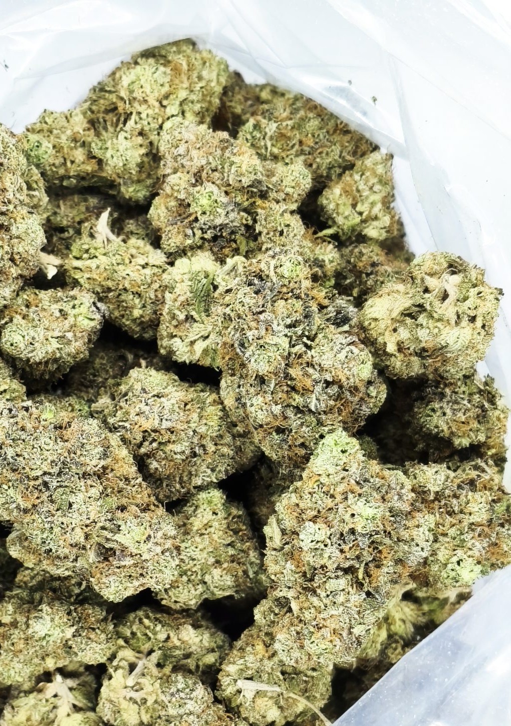 Strawberry Jam Strawberry Jam cannabis buds in a bag